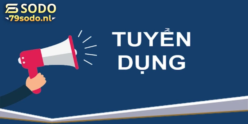 Lý do tuyển dụng 79Sodo thu hút sự quan tâm